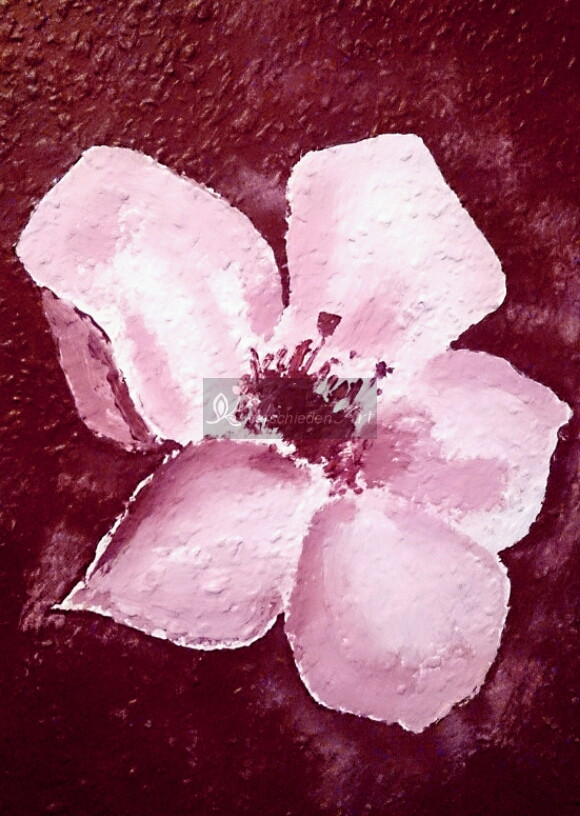 verschiedenArt: Kirschblüten auf Tapete - Detailansicht Blüte