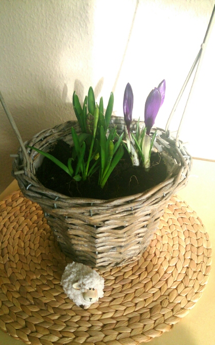 verschiedenart_freitagsblumen_fruehling3.jpg