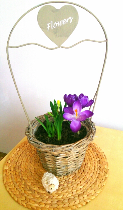 verschiedenart_freitagsblumen_fruehling2.jpg