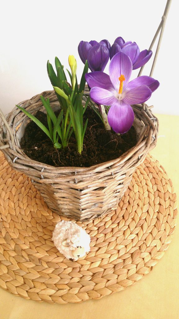 verschiedenart_freitagsblumen_fruehling.jpg