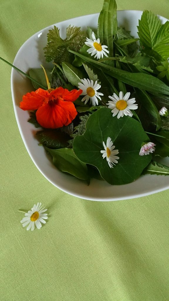 Wildkräutersalat von verschiedenArt