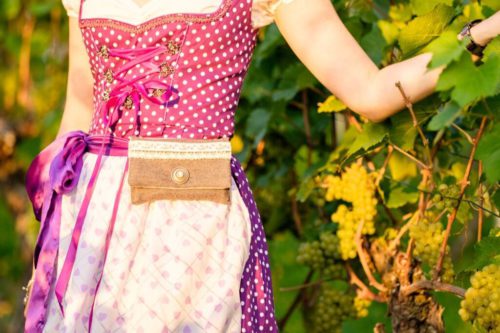 verschiedenArt_dirndl_2