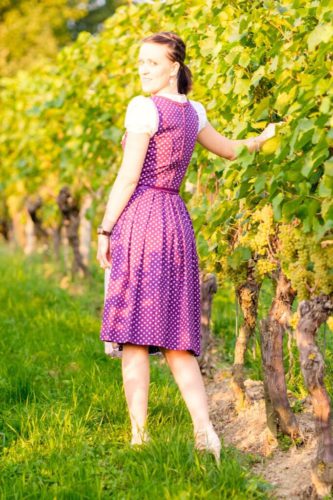 verschiedenArt_dirndl_5