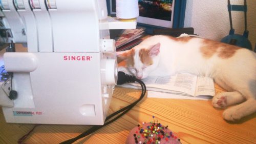 Kater schläft zwischen den Nähmaschinen auf dem Nähtisch