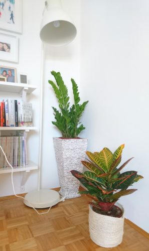 verschiedenArt: Sisal Blumentopf / Korb fertig